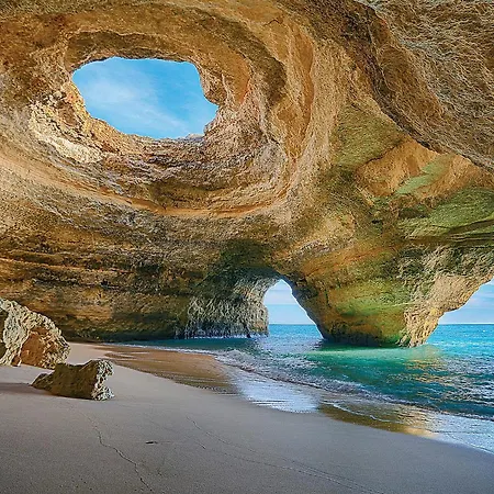 Golden Palm By Becherish