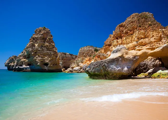 Golden Palm By Becherish