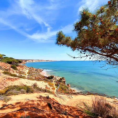 Golden Palm By Becherish *