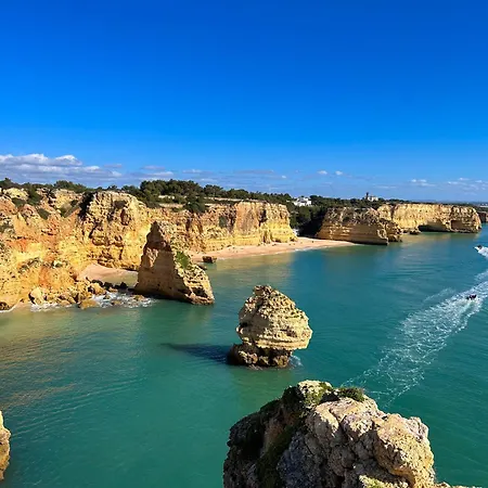 Apartment Golden Palm By Becherish *